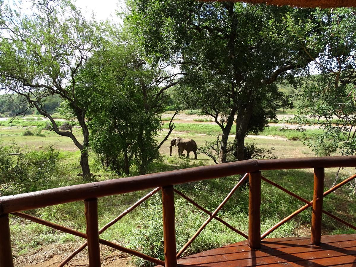 Emhosheni River Lodge Reserva de Caça de Balule Exterior foto